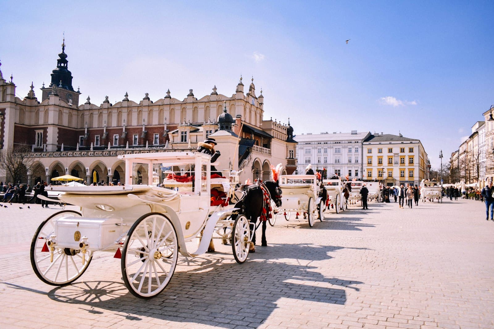 Partneruniversitet i Polen